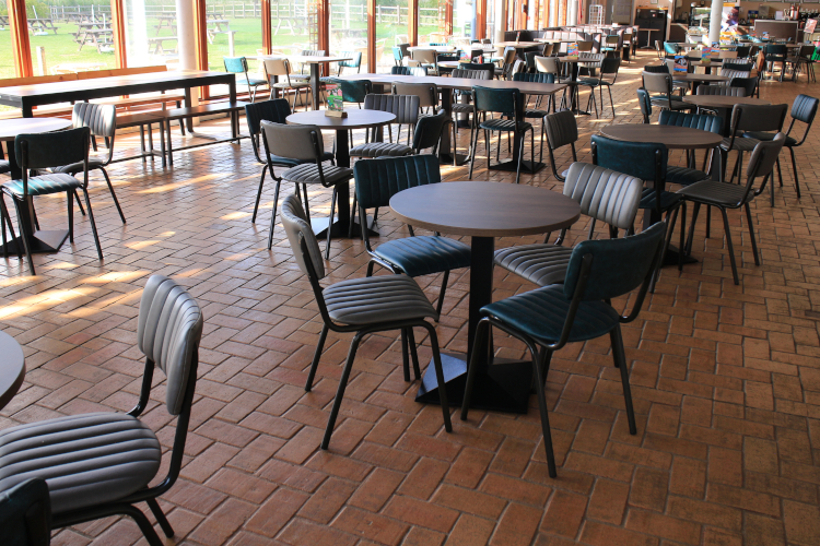 Large group of dining tables and dining chairs in a community centre style space.