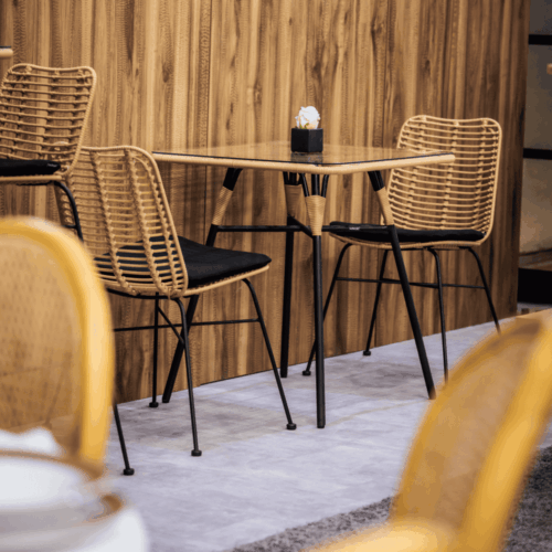 Palm-Stacking-Side-Chair-Insitu-3